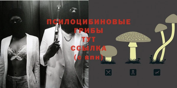 твердый Алексеевка