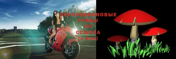 твердый Алексеевка
