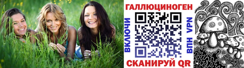 как найти закладки  Заполярный  Псилоцибиновые грибы Psilocybine cubensis 